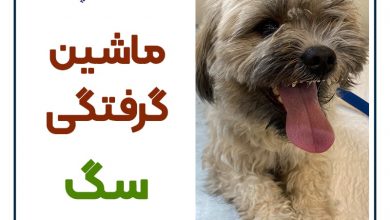 ماشین گرفتگی سگ و را های درمان آن