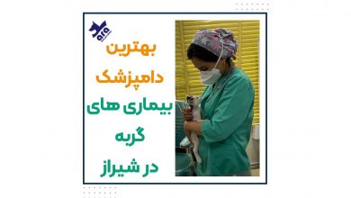 تصویر از بهترین دامپزشک متخصص بیماری های گربه در شیراز + شماره تماس 📞