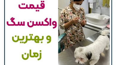 قیمت واکسن سگ و بهترین زمان تزریق واکسن
