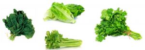 سبزیجات مناسب قناری