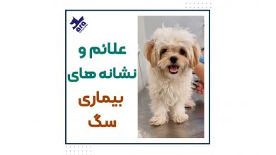 نشانه های بیماری سگ