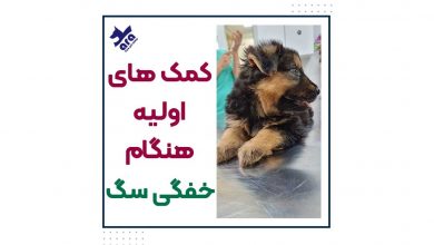 کمک های اولیه در هنگام خفگی سگ