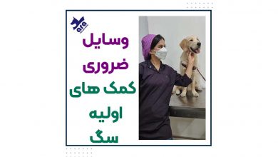 وسایل ضروری جعبه کمک های اولیه سگ