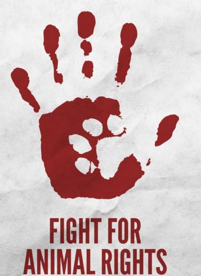 ef2c53177489744f2739b4a5acfadc99 animal rights tattoo animal rights quotes 1 e1515658890847