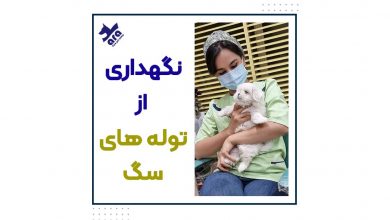 نگهداری از توله های سگ